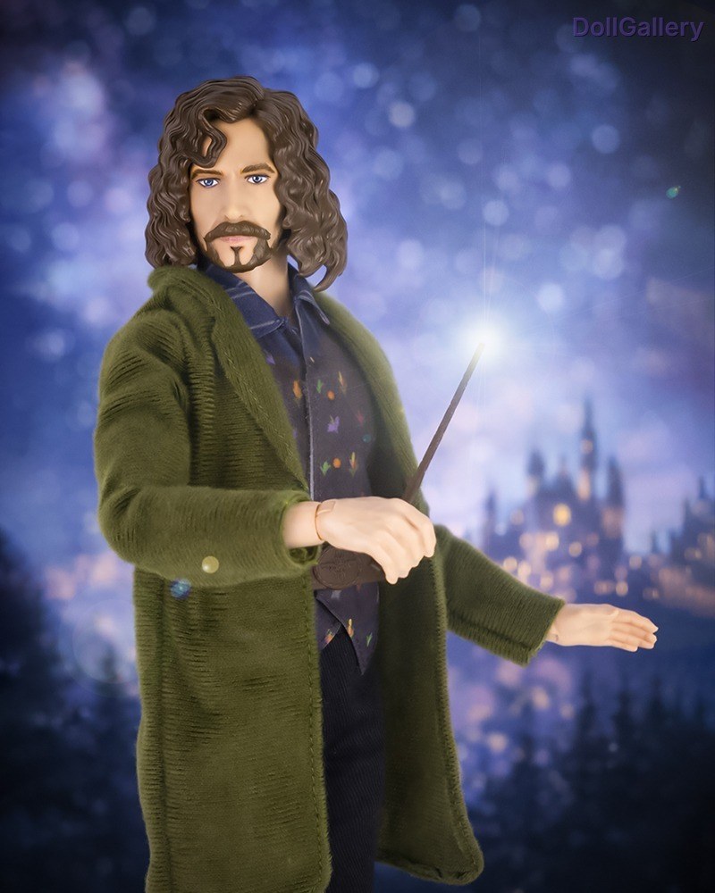 Кукла Mattel, Сириус Блэк от Mattel из серии Wizarding World, 2022