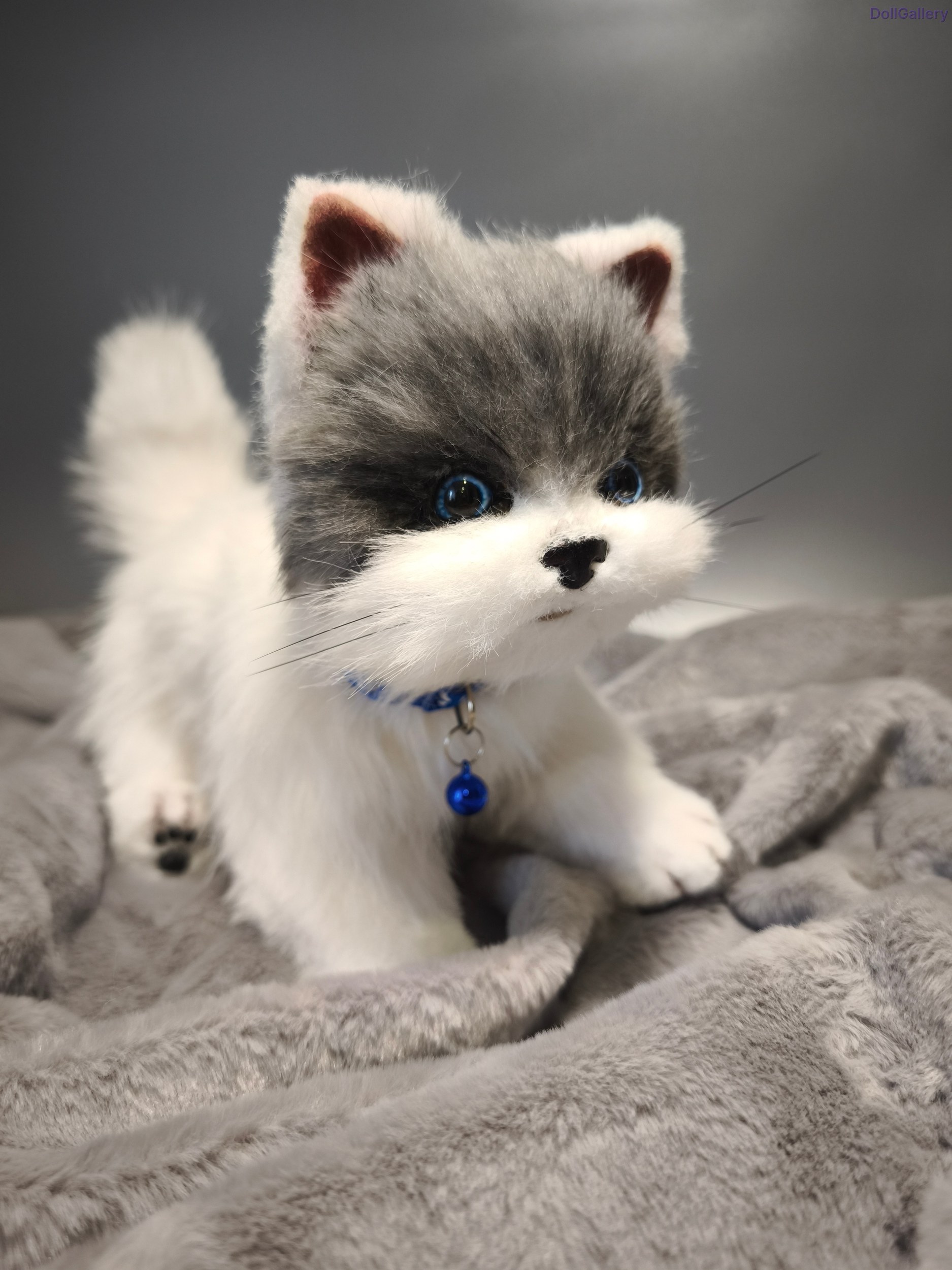 Кукла Limited, Котенок Том